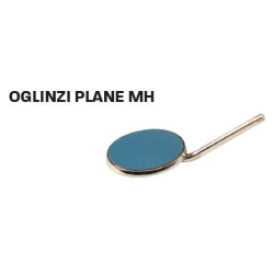 OGLINZI PLANE MH