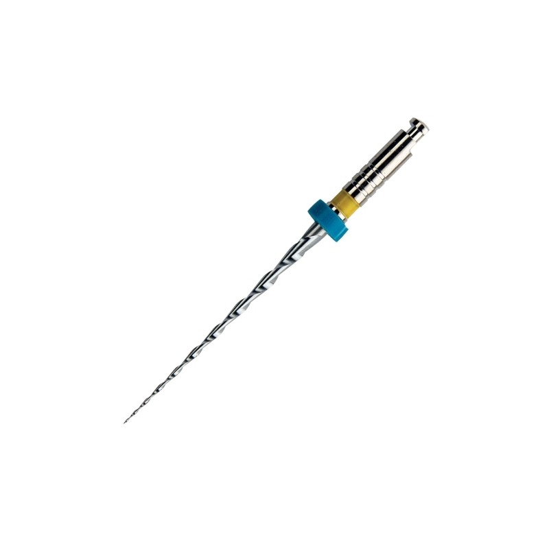 MTwo Basic Sequence Ni-Ti PA 21mm / L31mm VDW Varianta 025/.06 ( ROSU )