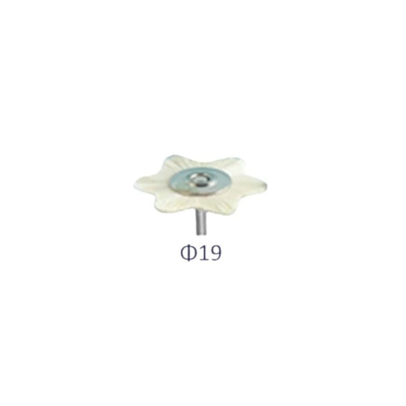 Perie lustru alba montata Soft 19mm star Song Young