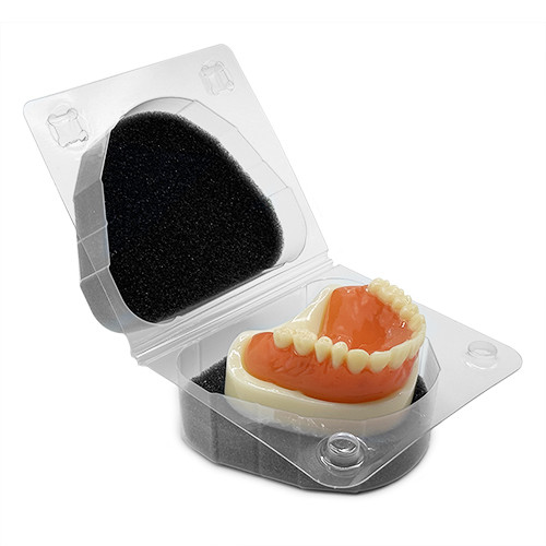 Cutie transparenta cu burete transport modele dentare