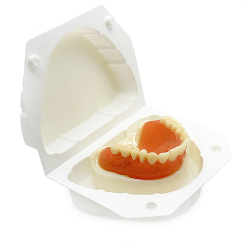 Cutie alba cu burete transport modele dentare