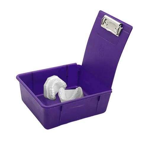 Cutie Color Organizare Modele Laborator 17X15