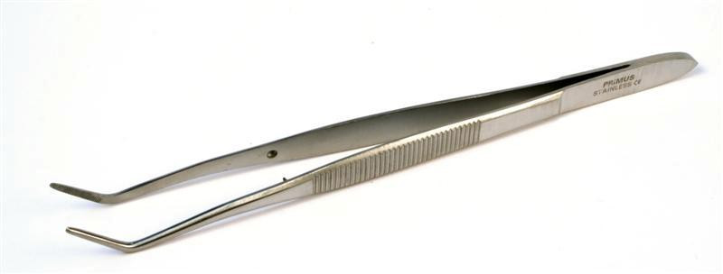 Pensa dentara