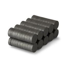 Magnet Arundo BAUMANN