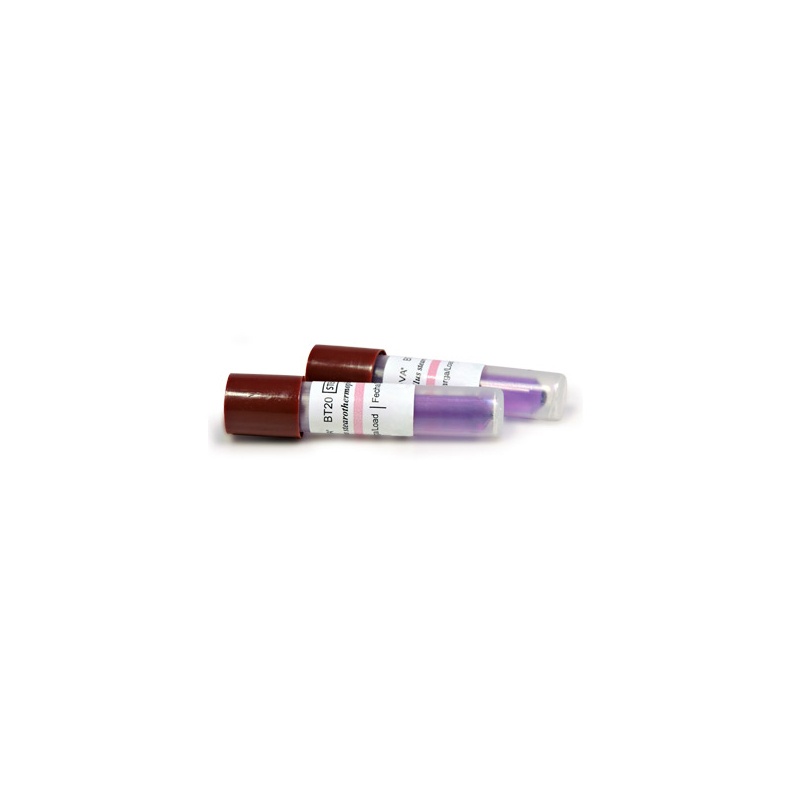 Indicator biologic sterilizare abur fiola 24h